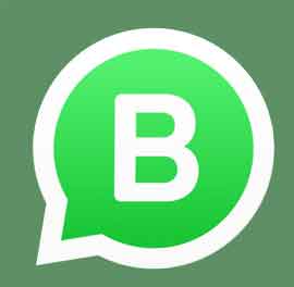 download whatsapp business ios