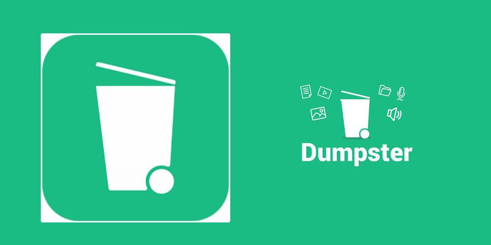 download dumpster apk